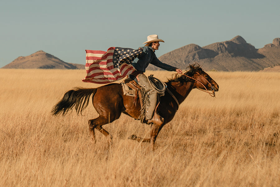 Great American Stories